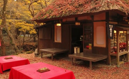 観光地の試飲コーナー