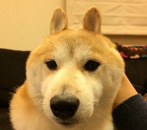 変顔